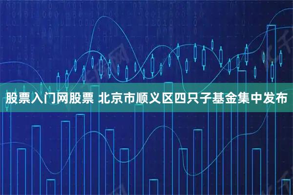股票入门网股票 北京市顺义区四只子基金集中发布