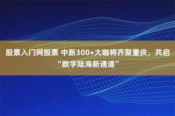 股票入门网股票 中新300+大咖将齐聚重庆，共启“数字陆海新通道”