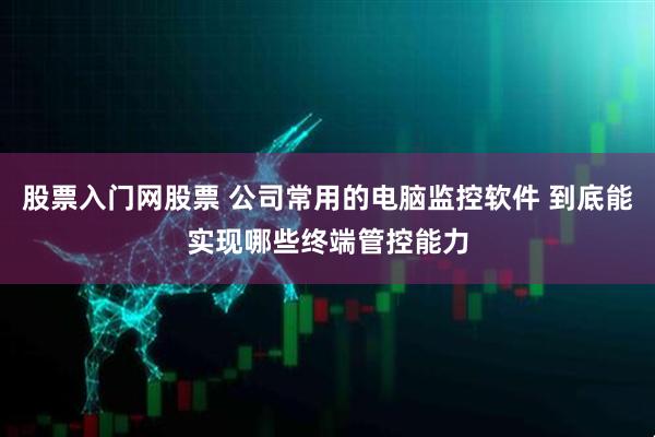 股票入门网股票 公司常用的电脑监控软件 到底能实现哪些终端管控能力